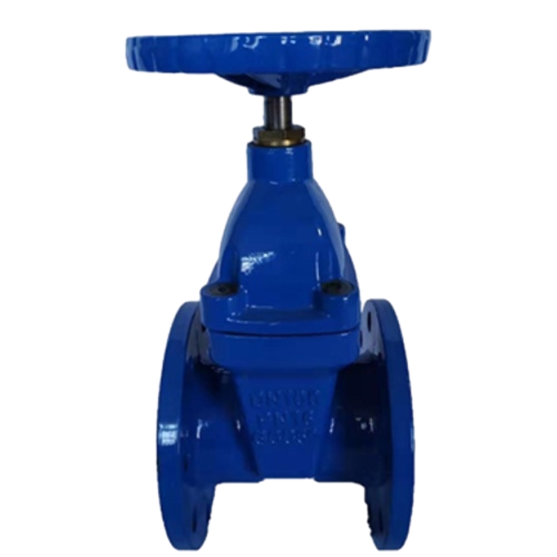 Soft Seal Gate Valve .