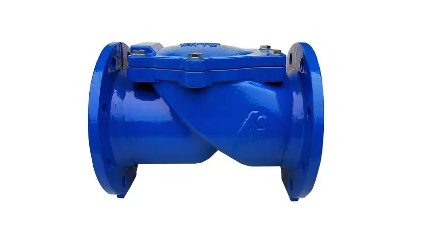 Aw ye kunnafoni wɛrɛw kalan Check Valve Assy kan .